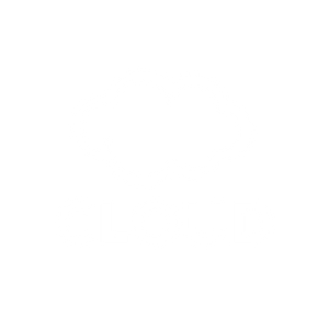 Cloud Studios